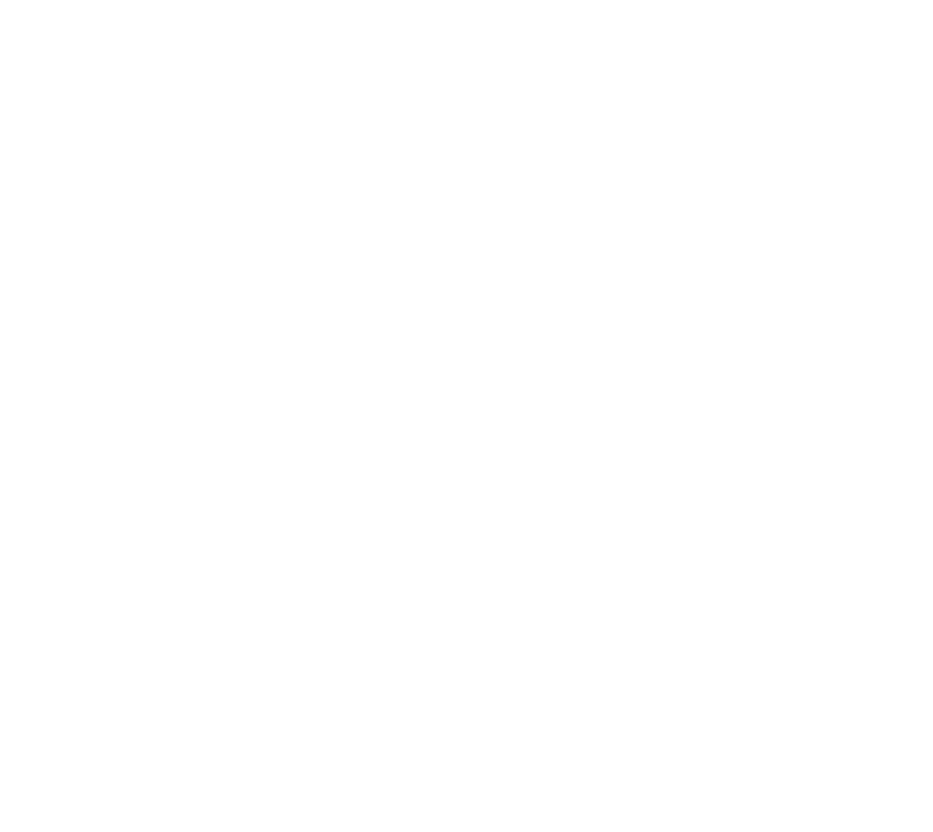 Logo CES