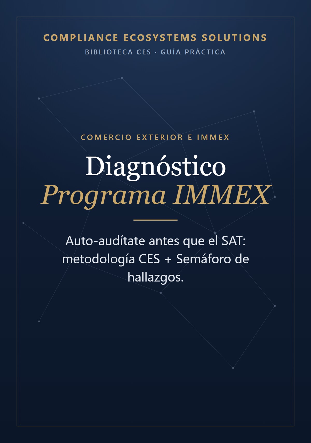 Diagnóstico Programa IMMEX